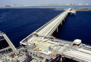 wp header logo17739216231150402532