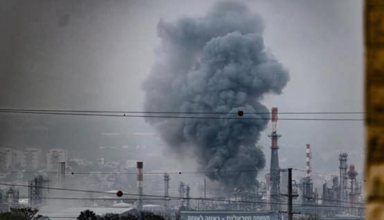 wp header logo1773943325739956548