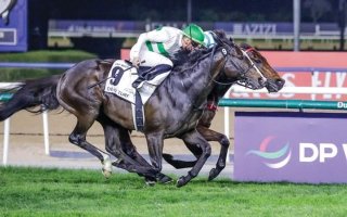 wp header logo17739684252043332405