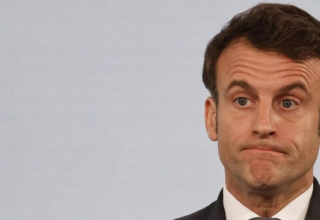 wp header logo17739684481054221249