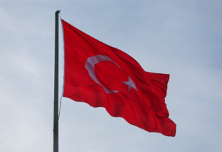 wp header logo17739828091633571109