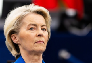 wp header logo17739864101144284451