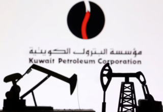 wp header logo1773986410775115939