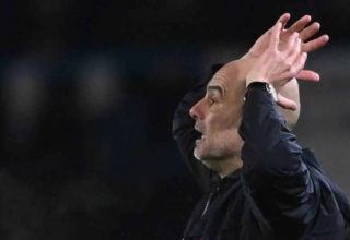 wp header logo17739936091868479281