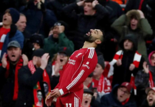 wp header logo17739936191167855808