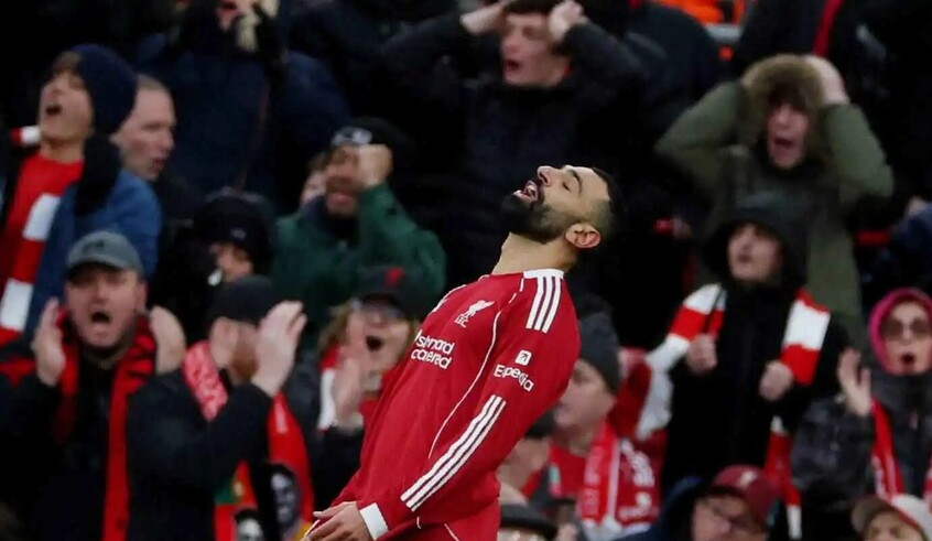 wp header logo17739936191167855808