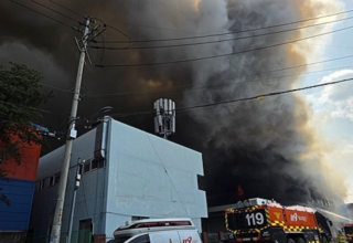 wp header logo1773993664787722793