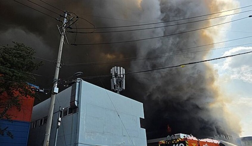 wp header logo1773993664787722793