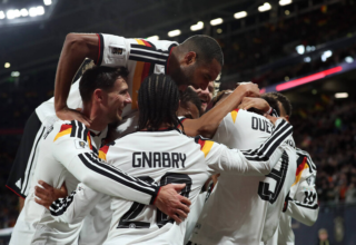 wp header logo17739972171228074786