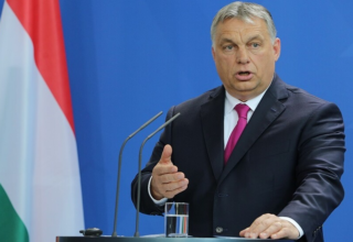 wp header logo17740080131313546108