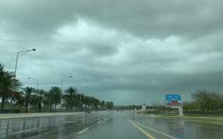 wp header logo17740152081953510847