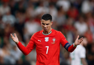 wp header logo17740152091902360666