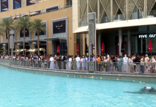 wp header logo17740188081734398367