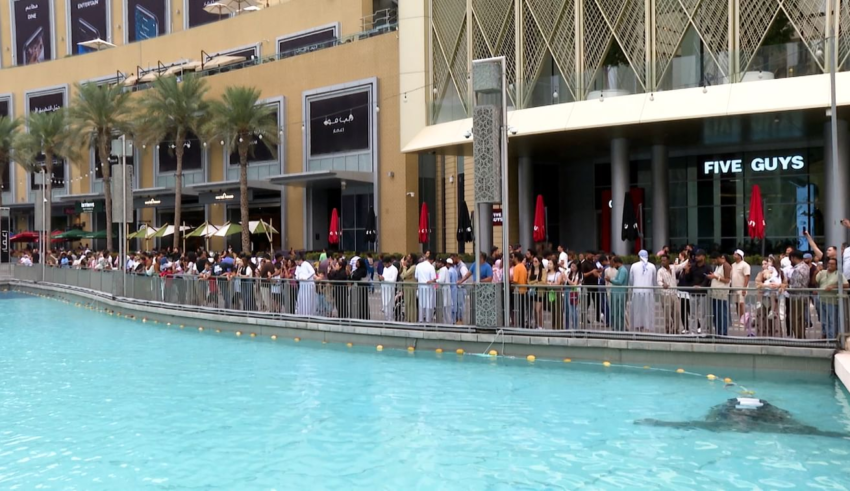 wp header logo17740188081734398367