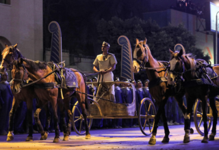 wp header logo177402601344224785