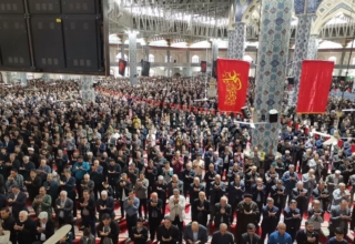 wp header logo17740764741382468820