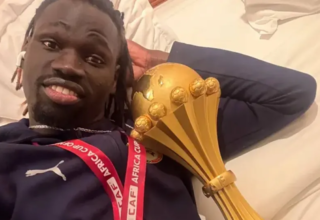 wp header logo17741016361082519501