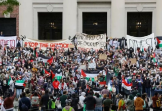 wp header logo17741052651577404647