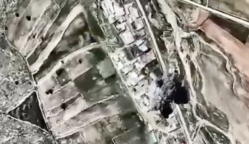 wp header logo17741125031601756222