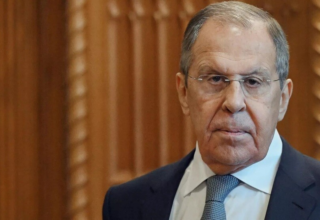 wp header logo17741196911781054824