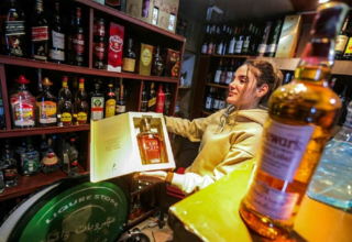 wp header logo17741340131433214246