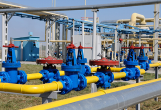 wp header logo1774137636619464044