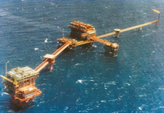 wp header logo17741844132037918419