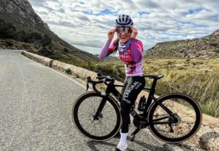 wp header logo17741844395511970