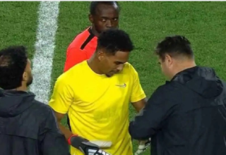 wp header logo17742168101510170917