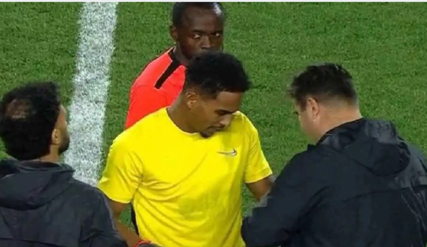 wp header logo17742168101510170917