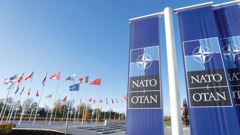 wp header logo1774227611770703043