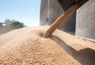 wp header logo177422762012306195