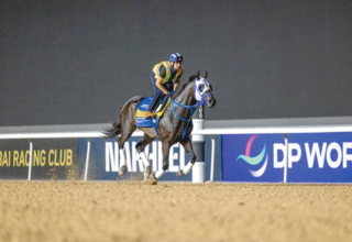 wp header logo17742276351613533981