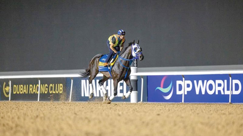 wp header logo17742276351613533981