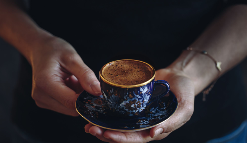 wp header logo17742420071388013616