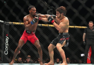 wp header logo17742420161055809511