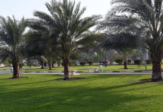 wp header logo1774256429248180938