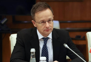 wp header logo17742636211824755790