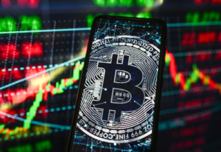 wp header logo17742636361651815014