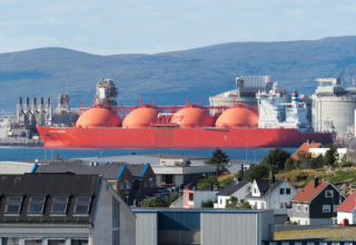 wp header logo1774270829325909415