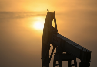 wp header logo17742780221294098579