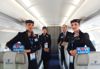 wp header logo17742816081851770208