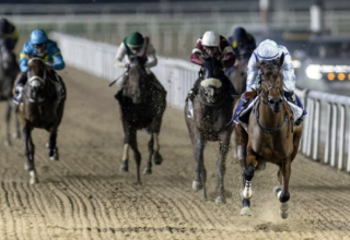 wp header logo1774285221855333786