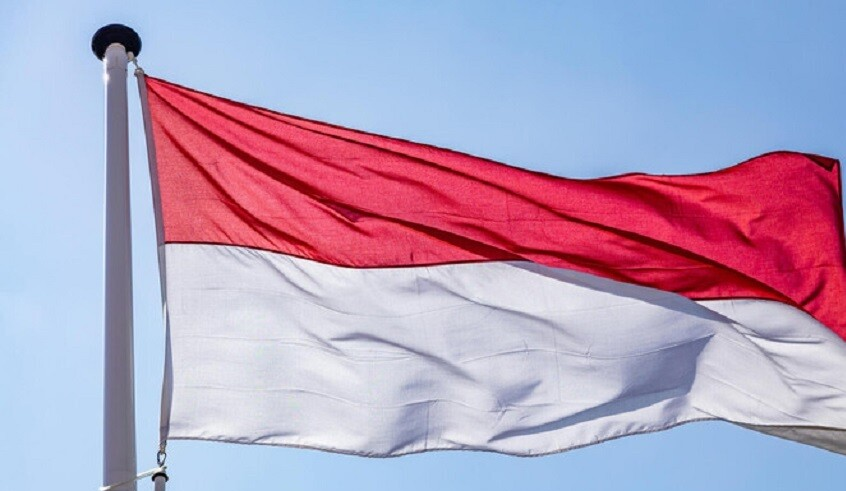 wp header logo1774292497753698507