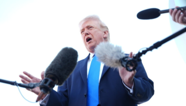 wp header logo1774292505717557239