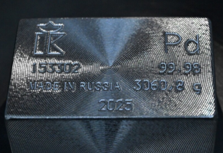 wp header logo17743068091994011779