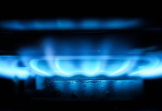 wp header logo17743104181237832271