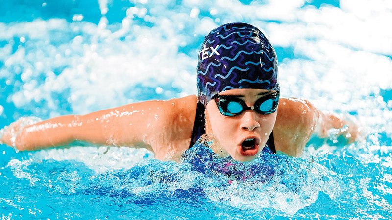 wp header logo1774314023514811660