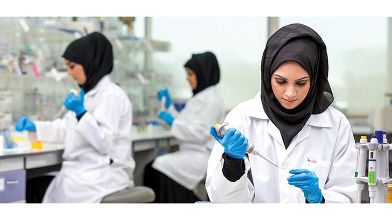 wp header logo177431402392680731