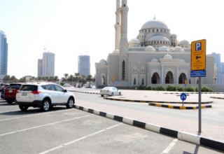 wp header logo1774335612597299299